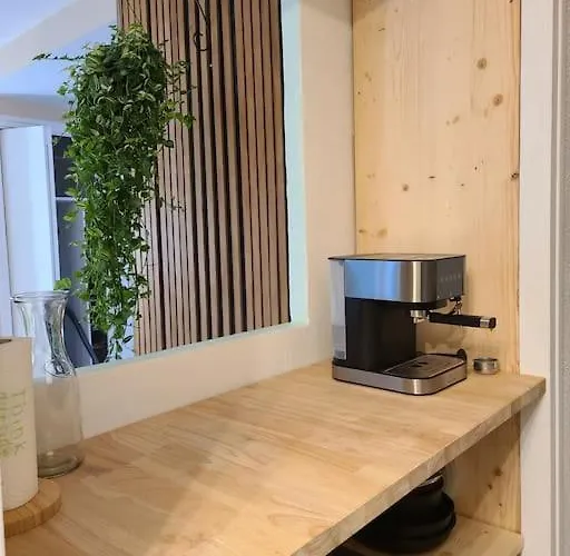 شقة Joli Renove Situe Au Pied Des Thermes Amélie-les-Bains-Palalda