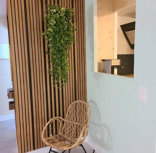 Joli Renove Situe Au Pied Des Thermes شقة Amélie-les-Bains-Palalda